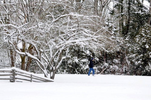 Snowlimitless.com offers you the best quality snow removal service at minimal prices in Langley. Our team of professionals will provide you quality solutions at the best prices. For more, visit our website.

https://snowlimitless.com/service/snow-removal/langley/