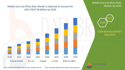 2.MiddleEastandAfricaNutsMarket.jpg