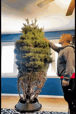 2022 12 02 10 27cdn fishki net upload post 2022 11 30 4311698 4a6aad74701bf7e8bfc2386df690a7e7