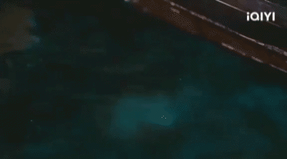 20230203_173916.gif