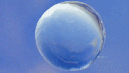 20230206_024637.gif