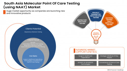 3.MarketAnalysisSouthAsiaMolecularPointOfCareTestingusingNAATMarket.jpg