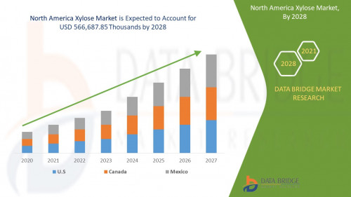 3.North-America-Xylose-Market.jpg