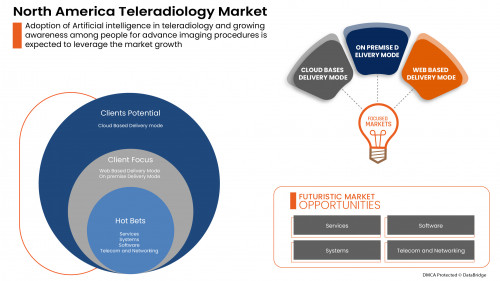 4.NATeleradiologyMarket01.jpg