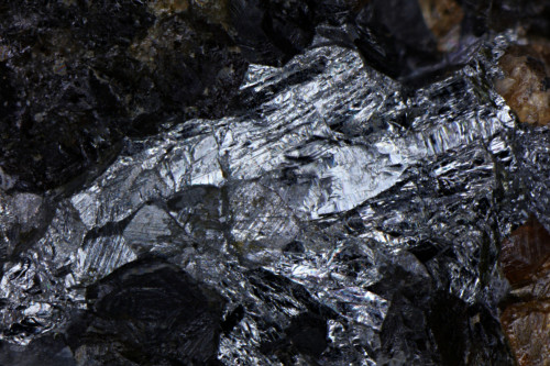 Bismuth, Andradite, Actinolite, Stormont Mine, Moina, Tasmania. 3.5mm.