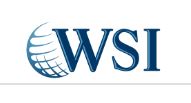 A.-WSI-IMAGE.jpg