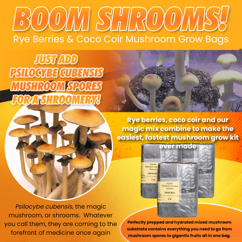 Magic Mushroom Grow Kit - https://ancientpathnaturals.com/products/1lb-boom-blocks-magic-mushroom-grow-bags
Begin growing magic mushrooms using the fastest psychedelic mushroom growing kit in the USA! 5 pack of 1lb bags of the easiest method to grow mushrooms ever created. The small size means faster colonization time and less wait till you have fruits!