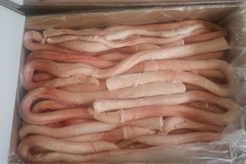 You can buy frozen beef pizzles online from Zanchetta Group. They are a great option for dogs with allergies or sensitivities to other proteins. We are the best place for frozen pizzles, Chicken Wings, Chicken paws, Beef Trimming and more. They are sold frozen to maintain their freshness and can be stored for future use. We have a wide selection and you can get them delivered to your home in minutes. https://www.zanchettaalimentosltda.com/product/buy-frozen-beef-pizzles-online/