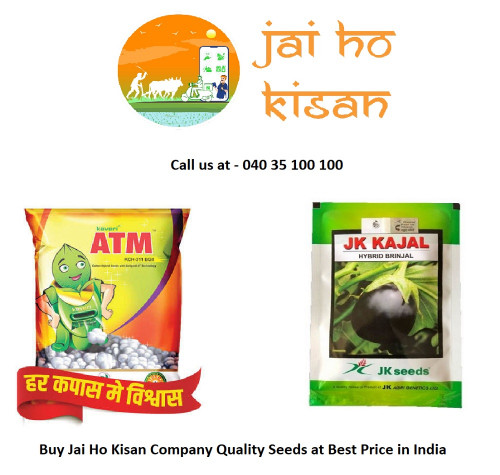 Buy-Jai-Ho-Kisan-Company-Quality-Seeds-at-Best-Price-in-India.jpg