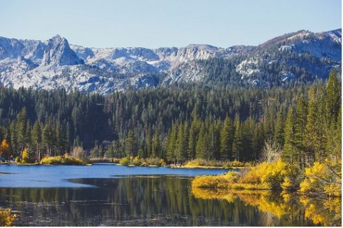 In California gorgeous Mammoth Lakes area, you; ill find a number of lakes that are perfect for fishing. Learn which lakes in Mammoth are stocked with fish."
https://asomammoth.com/mammoth-lakes-that-are-stocked-with-fish/