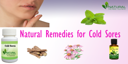 Echinacea is also one of the very effective Natural Remedies for Cold Sores because it has antiviral effects and it bolsters our immune system... https://www.naturalherbsclinic.com/blog/cold-sores-natural-remedies-and-treatment/