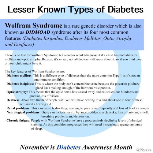 November is Diabetes Awareness Month - image 7