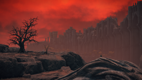 ELDEN-RING_20220508182126.png