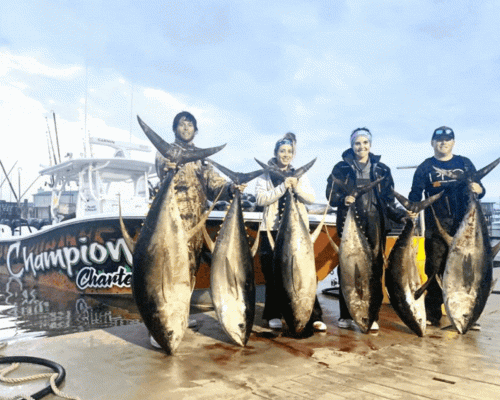 Champion Charters, the Venice Louisiana Fishing Charters Company, is located in Venice Louisiana and focuses on deep sea Tuna fishing trips. We aim to bring you the joy of fishing as well as assist you in catching them. We offer you the simplest planned Venice fishing trips so that you enjoy this trip to the most within your budget.  Visit,https://bit.ly/3umj7rR