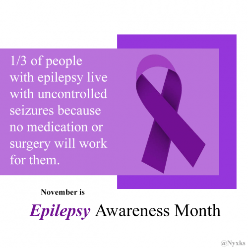 November is Epilepsy Awareness Month - image 13