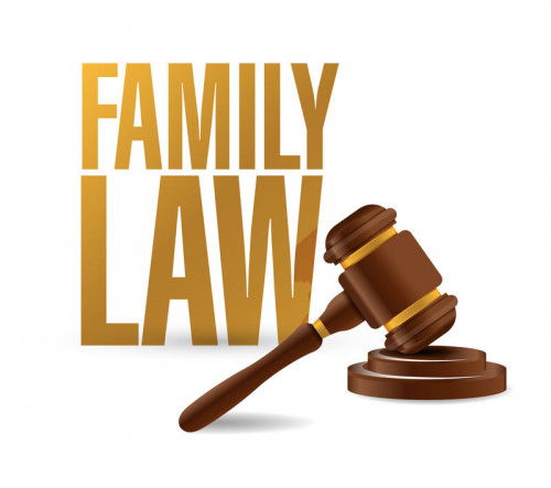 Family-Lawyer-Brooklyn-NY-10.jpg