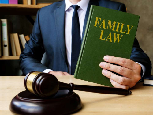 Family-Lawyer-Brooklyn-NY-11.jpg