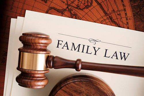 Family-Lawyer-Brooklyn-NY-14.jpg