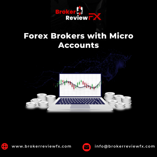 A common type of account that gives investors access to the forex market is a micro forex account. The other two types are mini and standard, and this is one of them. If you want to test a Forex broker's execution, live accounts support, and deposit/withdrawal speed without risking too much money, an option to open a Micro Forex Broker account can also be useful.