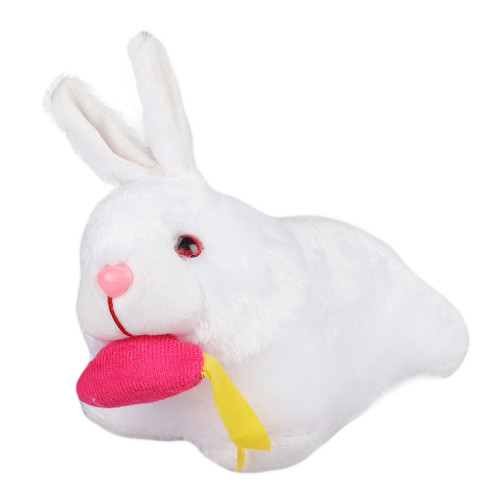 GNR-Rabbit-with-Carrot-White_11.jpg