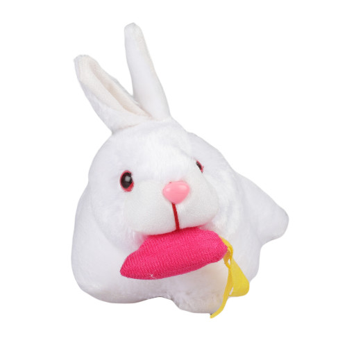 GNR-Rabbit-with-Carrot-White_22.jpg