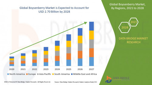 Global-Boysenberry-Market.jpg