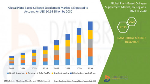 Global-Plant-Based-Collagen-Supplement-Market.jpg