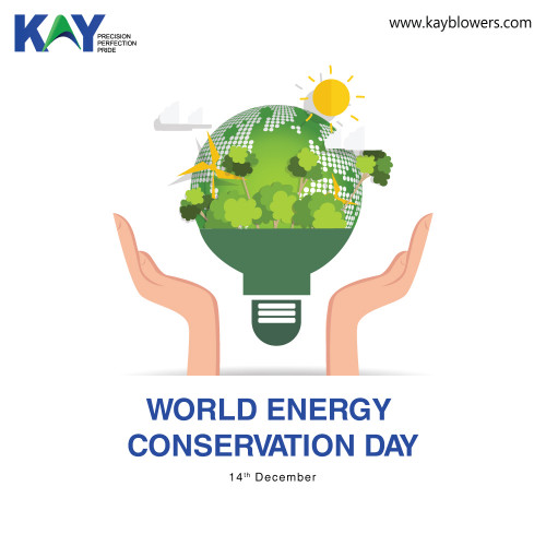 Happy-National-Energy-Conservation-Day---Kay-Blowers.jpg