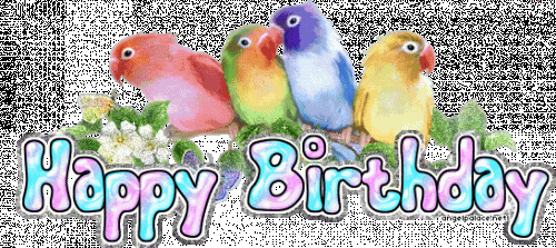 Happy birthday birds