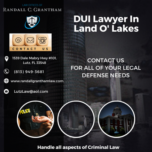 Hire-A-Professional-DUI-Lawyer-in-Land-O-Lakes-To-Defend-You-In-Court.png