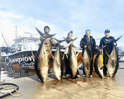 Champion Charters, the Venice Louisiana Fishing Charters Company, is situated in Venice Louisiana and focuses on deep sea Tuna fishing trips. We aim to bring you the joy of fishing as well as to assist you in catching them. We offer you the simplest planned Venice fishing trips so that you enjoy this fishing trip to the most within your budget. During the fishing trip, we provide you the nicest fishing boats and other accessories that help you catch fish together with your family and friends. Hire us for an excellent experience today! Visit,https://bit.ly/3nvsOCR