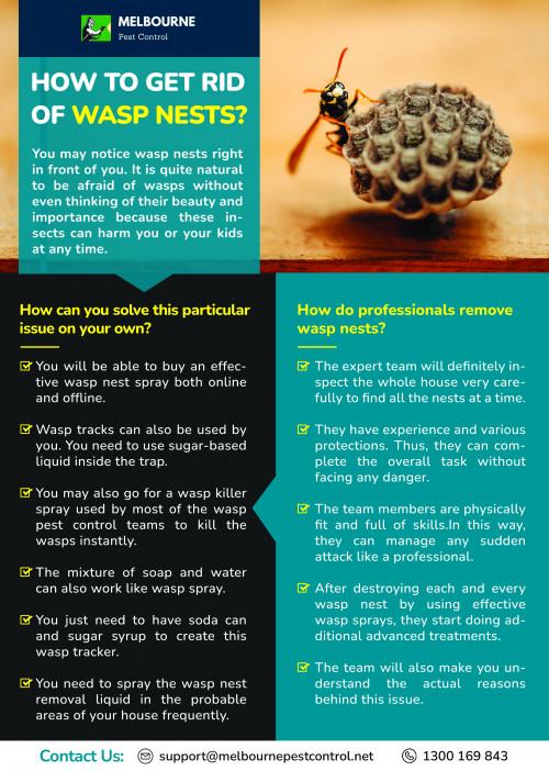 How-To-Get-Rid-Of-Wasp-Nests.jpg