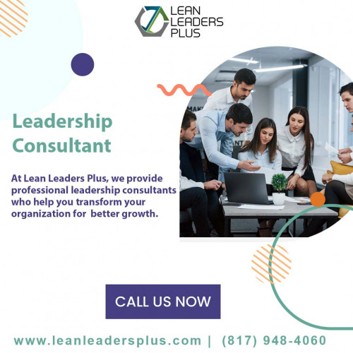 Leadership consultant