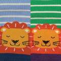 Lions_KM006_X2_SWATCH.jpg