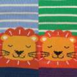 Lions_KM006_X2_SWATCH