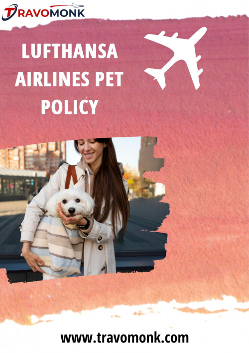 Lufthansa-Airlines-Pet-Policy.jpg