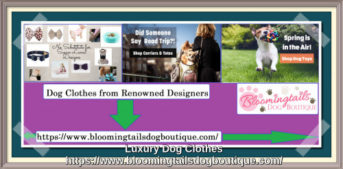 Luxury-Dog-Clothes-bloomingtailsdogboutique.com.jpg