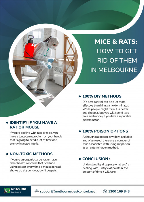 Mice--Rats-How-to-Get-Rid-of-Them-in-Melbourne.jpg