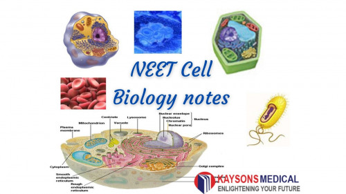 NEET-Cell-Biology-notes.jpg