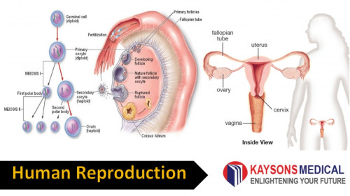 NEET-reproduction-notes.jpg