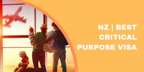 NZ-Best-Critical-Purpose-Visa.png