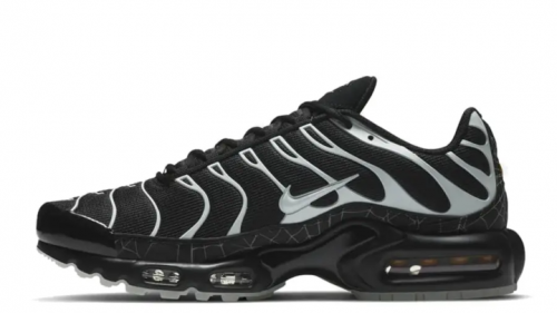 Nike-Air-Max-Plus.png