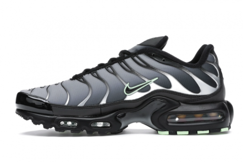 Nike-air-max-tn.png