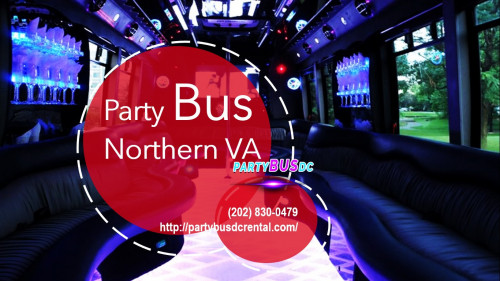 Party-Bus-Northern-VA.jpg