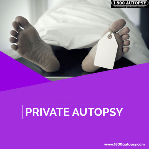 Private-Autopsy3.jpg