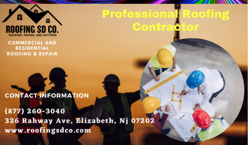 Professional-Roofing-Contractor.png