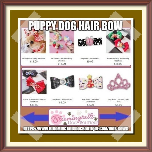 You can find bows of different style, size and color for various occasions to celebrate it. You find the best bow for your lovely friend in our store. https://bit.ly/3HIwJG1