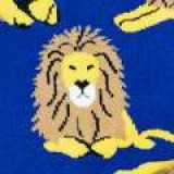 S2043-LIONINGAROUND-SW