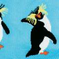 S2053-ROCKHOPPER-SW.jpg