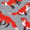 S2174-FOXES-SW.jpg